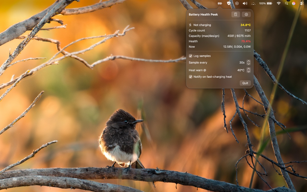 BatteryPeek menu bar app showing battery health metrics